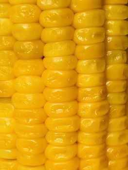 Beautiful view of corn maize cereal seed arranged in a column in yellow color background