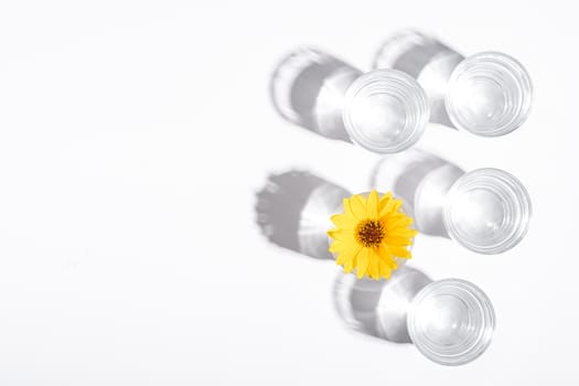 Fresh clear water drink with yellow flower in glass on white background, hard light creative composition, top view copy space