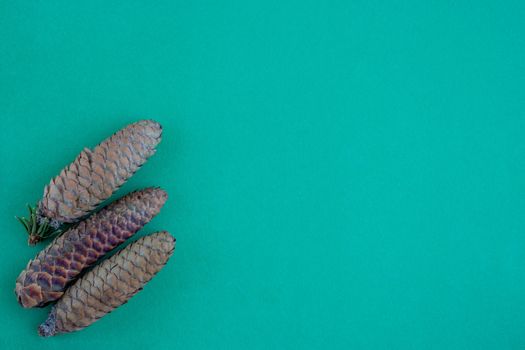 Three pine cones lie on a green background. The concept of the New year and Christmas.