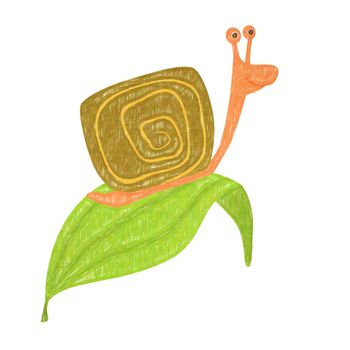 Snail isolated. Hand drawing snail for a child