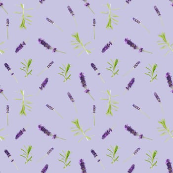 seamless pattern made from lavender flowers isolated on violet. fresh lavendel blossoms background. floral pattern.