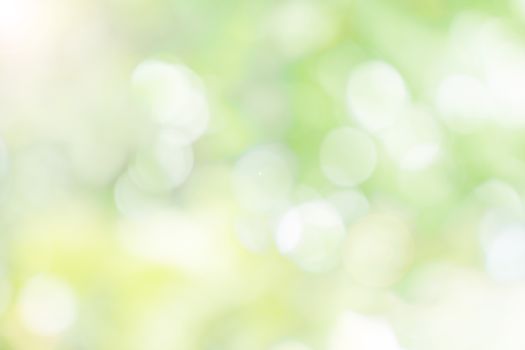 Abstract blurred defocus natural green bokeh background, Soft natural bokeh style For aesthetic creative design