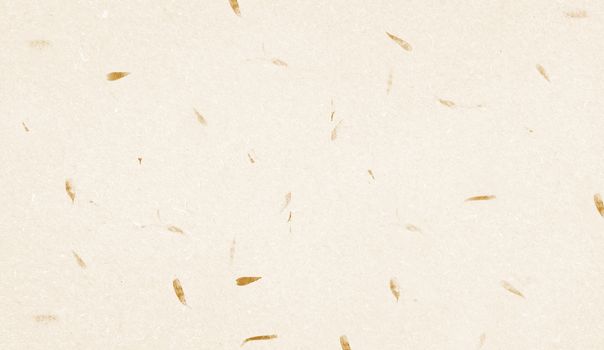 Pale yellow Mulberry Paper with leaf texture background, Handmade paper horizontal with Unique design of paper, Soft natural paper style For aesthetic creative design