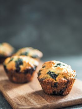 Homemade vegan blueberry muffins on dark background. Copy space for text or design