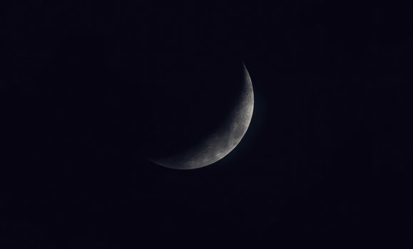 Sickle shaped moon on the night sky