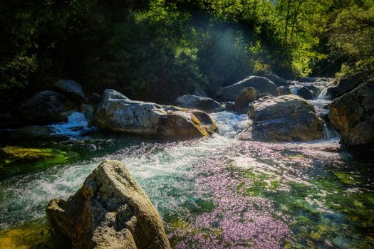 Nice small creek in the forest in park National Sant Maurici in Spain