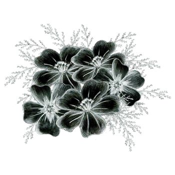 Black and White Hand-Drawn Isolated Flower Composition. Monochrome Botanical Plant Illustration in Sketch Style. Thin-leaved Marigolds for Print, Tattoo, Design, Holiday, Wedding and Birthday Card.