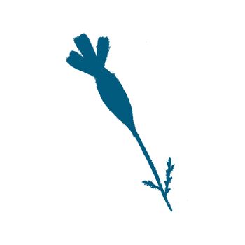 Blue Hand-Drawn Isolated Flower Silhouette. Monochrome Botanical Plant Illustration in Sketch Style. Thin-leaved Marigolds for Print, Tattoo, Design, Holiday, Wedding and Birthday Card.