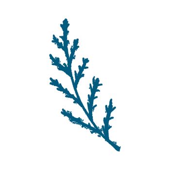 Blue Hand-Drawn Isolated Flower Twig. Monochrome Botanical Plant Illustration in Sketch Style. Thin-leaved Marigolds for Print, Tattoo, Design, Holiday, Wedding and Birthday Card.