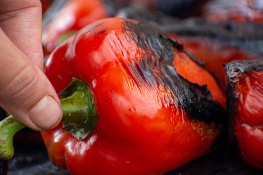 Red peppers roasting on a wood-fired stove in preparation for making ajvar, a traditional serbian dish