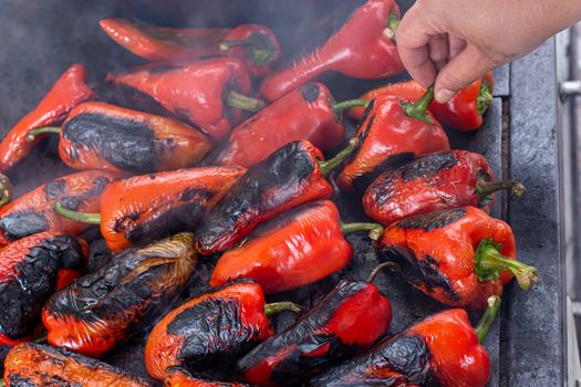 Red peppers roasting on a wood-fired stove in preparation for making ajvar, a traditional serbian dish