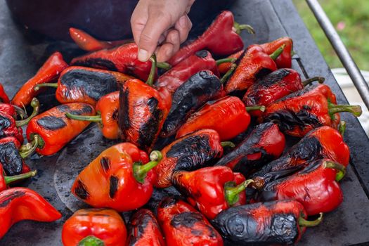 Red peppers roasting on a wood-fired stove in preparation for making ajvar, a traditional serbian dish