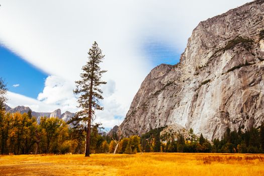 The view from within Yosemite Valley of surrounding rock faces on a stormy day in California, USA