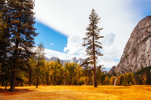 The view from within Yosemite Valley of surrounding rock faces on a stormy day in California, USA