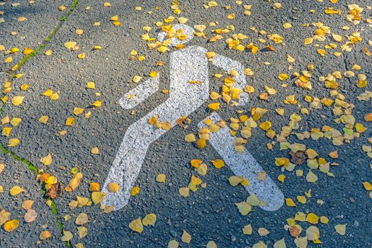 Pictured on the asphalt a pedestrian zone sign covered with autumn leaves