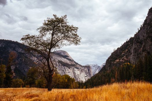 The view from within Yosemite Valley of surrounding rock faces on a stormy day in California, USA