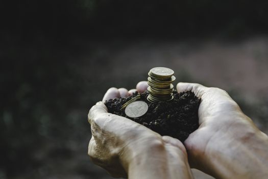 Saving money concept with hand holding money coin stack. financial and accounting concept.