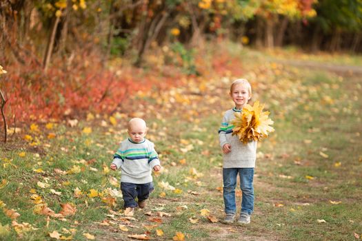 Happy little boys gathering autumn leaves in the park in autumn