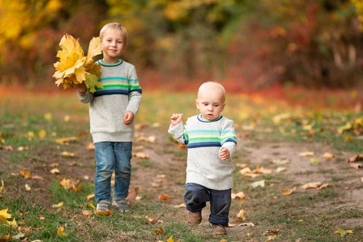 Happy little boys gathering autumn leaves in the park in autumn