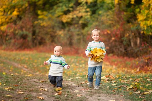 Happy little boys gathering autumn leaves in the park in autumn