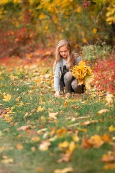 Beautiful little girl gathering autumn leaves in the park outdoor