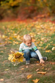 Happy little boy gathering autumn leaves in the park in autumn