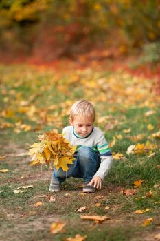 Happy little boy gathering autumn leaves in the park in autumn