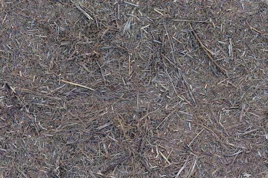 seamless texture and background of dry gray dead shredded grass or straw on the ground - grim rustic barn or yard floor or road