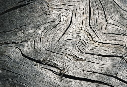 background or texture detail of wavy cracks on old wood