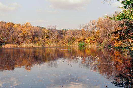 Beautiful autumn landscape. In the fall, the park boils in color combinations. Bright autumn colors in the park by the lake. Trees with yellow and orange leaves are reflected in the water.
