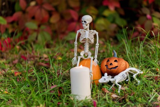.Still life of skeletons and pumpkins against the background of autumn foliage in the garden for the halloween holiday