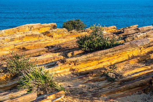 Sedimentary rocks near Coogee Beach just before sunset, NSW Australia