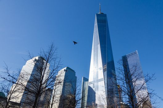 Low angle view in a sunny day of the One World Trade Centre in Manhattan, New York