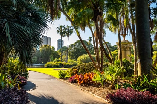 View of the Royal Botanic Garden in late afternoon light, Sydney, NSW Australia