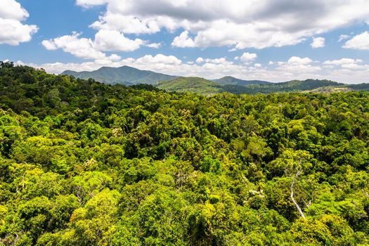 Top view of green and majestic Australian rainforest from a cableway in Kuranda with some clouds and blue sky