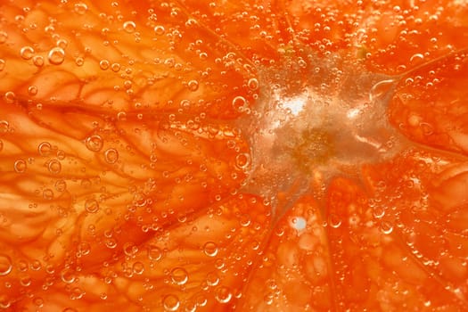 Close-up of a grapefruit on the inside
