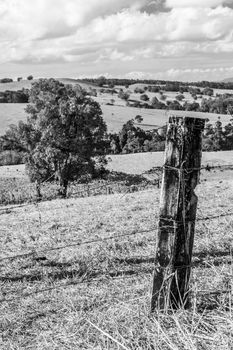 Queensland countryside landscape in the dry season illuminated by the afternoon sun