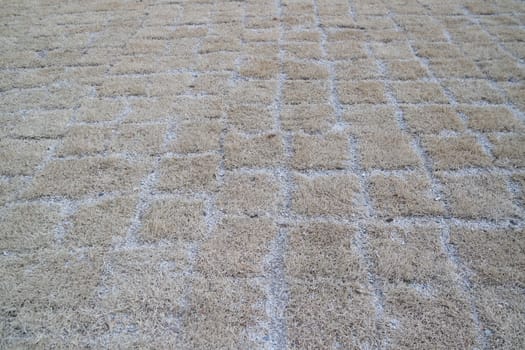 Closeup texture of brick floor. A background of a weathered old exterior brick floor with copy space for text