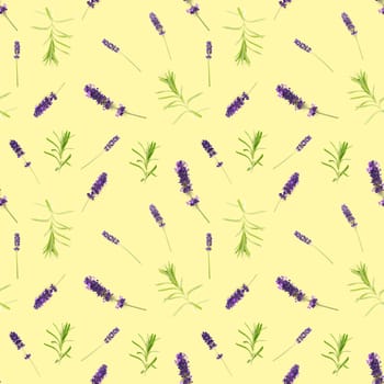 seamless pattern made from lavender flowers isolated on yellow. fresh lavendel blossoms background. floral pattern.