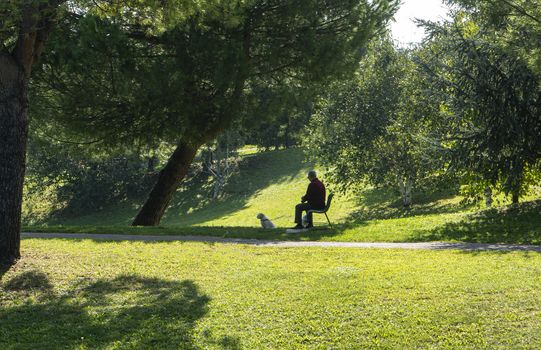 a man in the company of his dog sitting on a park bench