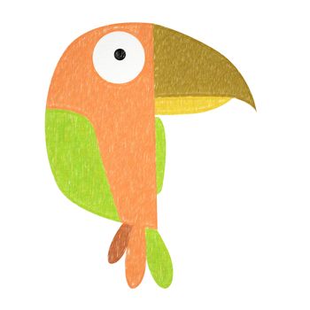 Parrot isolated. Hand drawing parrot for a child