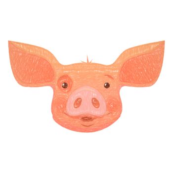 Cute pig cartoon. Pig head isolated illustration