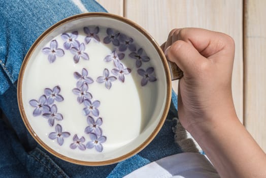 Cup with milk and small purple lilac flowers with hand, matte natural still life