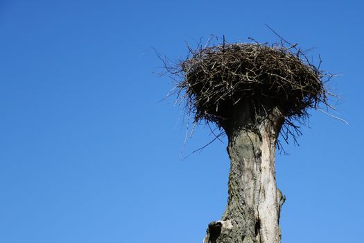 An empty stork nest against a blue sky awaiting the arrival of storks in spring