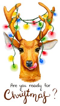 Christmas deer with a garland illustration. Watercolor drawing isolated.