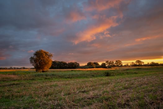 Stubble field, trees and view during sunset, summer evening view