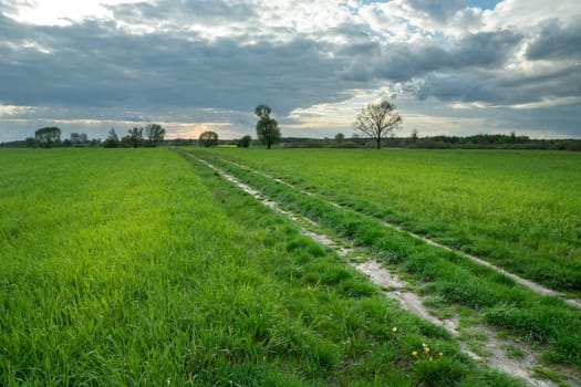 Rural road through green fields and dark evening clouds, spring rural landscape