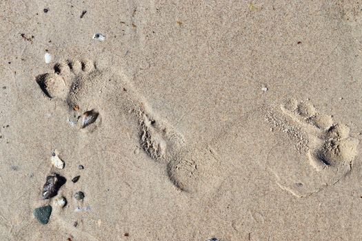 Beautiful detailed footprints in the sand of a beach during summer. Copy space background.