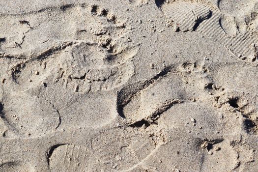 Beautiful detailed footprints in the sand of a beach during summer. Copy space background.