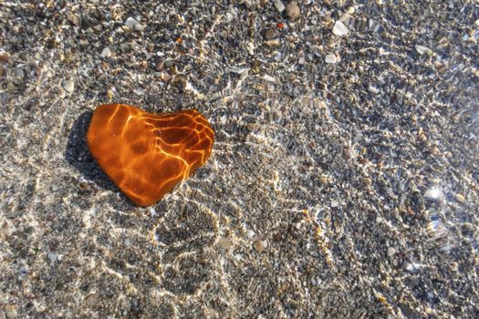 orange heart shaped stone at the beach